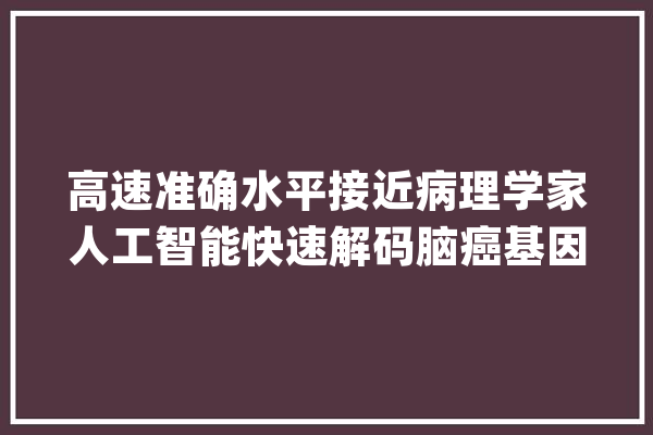 高速准确水平接近病理学家人工智能快速解码脑癌基因组_人工智能_肿瘤 文字写作