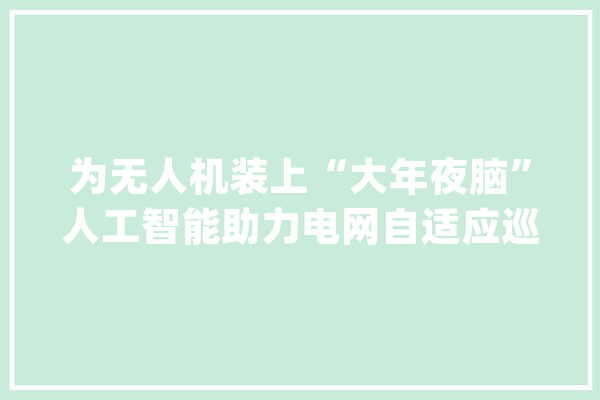 为无人机装上“大年夜脑”人工智能助力电网自适应巡检_无人机_人工智能 智能写作