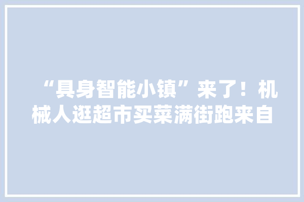 “具身智能小镇”来了！机械人逛超市买菜满街跑来自上海AI Lab_机械人_场景