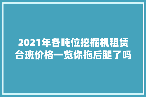 2021年各吨位挖掘机租赁台班价格一览你拖后腿了吗？_发掘机_价钱