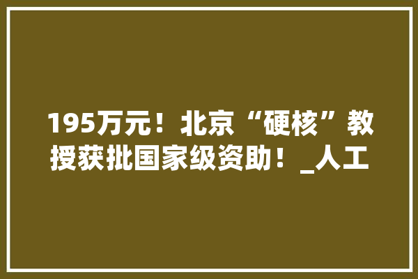 195万元！北京“硬核”教授获批国家级资助！_人工智能_研讨院 AI快讯