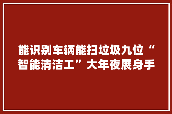 能识别车辆能扫垃圾九位“智能清洁工”大年夜展身手_环卫_功课