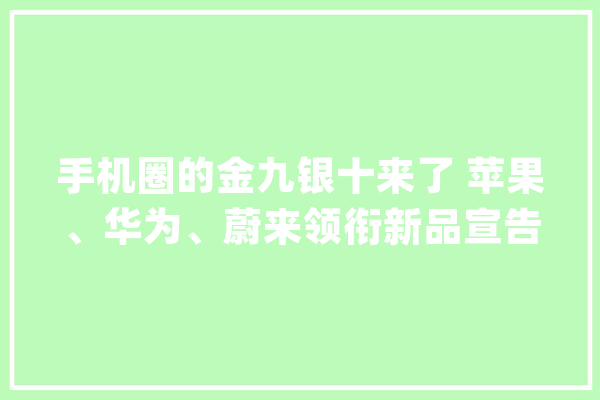 手机圈的金九银十来了 苹果、华为、蔚来领衔新品宣告_华为_宣布会
