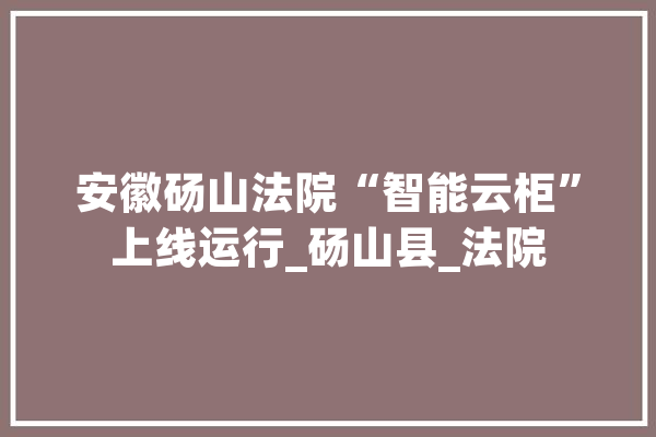 安徽砀山法院“智能云柜”上线运行_砀山县_法院