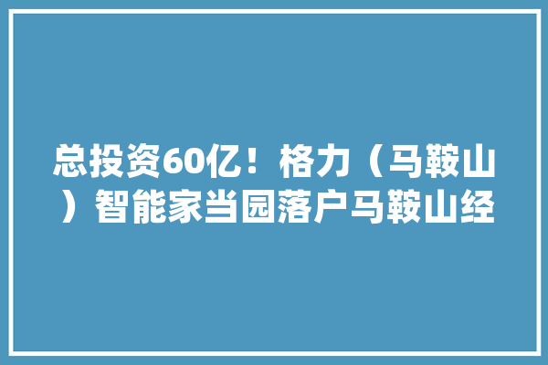 总投资60亿！格力（马鞍山）智能家当园落户马鞍山经开区_马鞍山_家当