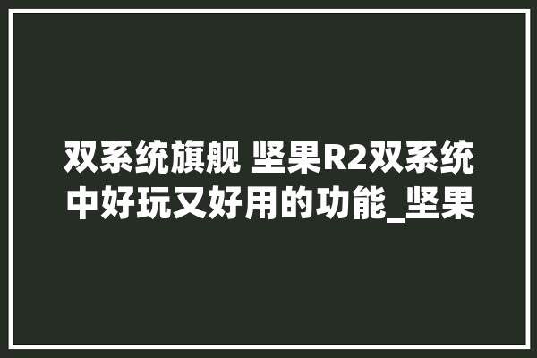 双系统旗舰 坚果R2双系统中好玩又好用的功能_坚果_功效 文字写作