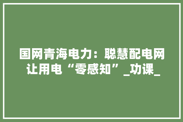 国网青海电力：聪慧配电网 让用电“零感知”_功课_青海