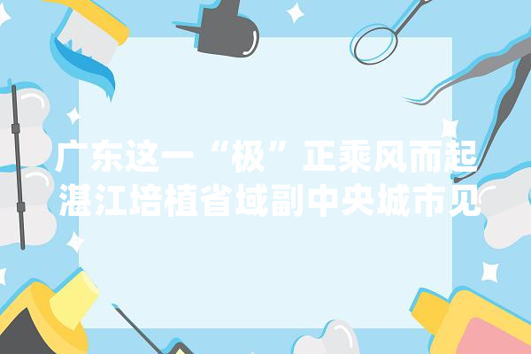 广东这一“极”正乘风而起 湛江培植省域副中央城市见闻_家当_广东 绘影字幕