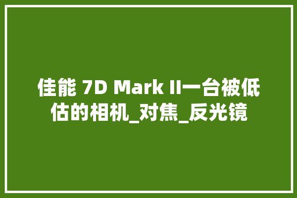 佳能 7D Mark II一台被低估的相机_对焦_反光镜 科技快讯