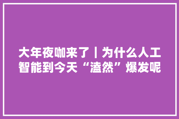 大年夜咖来了｜为什么人工智能到今天“溘然”爆发呢？_人工智能_家当 AI简讯
