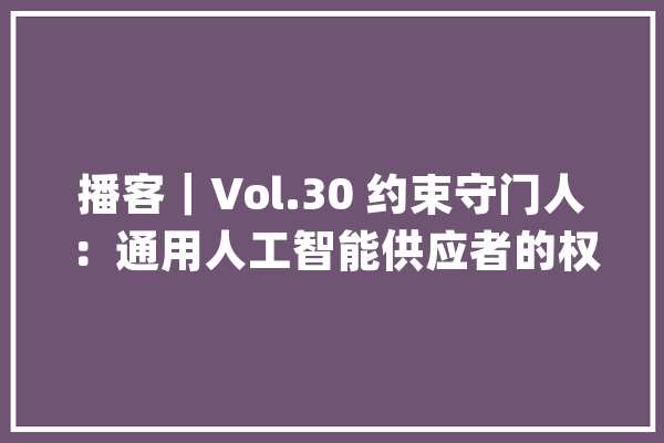 播客｜Vol.30 约束守门人：通用人工智能供应者的权责均衡_人工智能_供给者 AI简讯