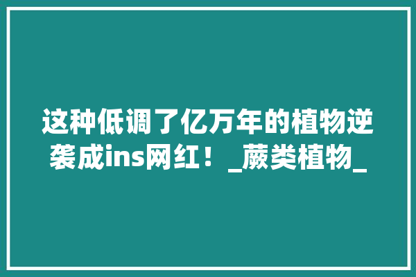 这种低调了亿万年的植物逆袭成ins网红！_蕨类植物_婆罗洲 AI快讯