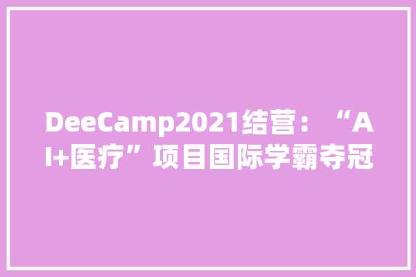 DeeCamp2021结营：“AI+医疗”项目国际学霸夺冠4大年夜赛道解决现实痛点_技巧_工厂 云服务