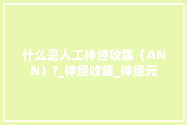 什么是人工神经收集（ANN）?_神经收集_神经元 绘影字幕