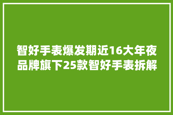智好手表爆发期近16大年夜品牌旗下25款智好手表拆解汇总_芯片_手表 科技快讯