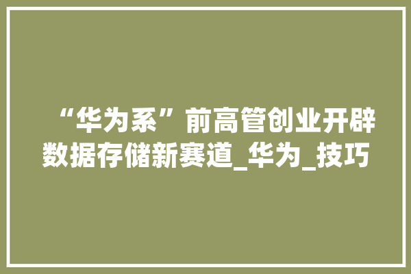“华为系”前高管创业开辟数据存储新赛道_华为_技巧 AI快讯