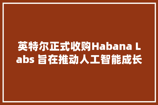 英特尔正式收购Habana Labs 旨在推动人工智能成长_英特尔_人工智能