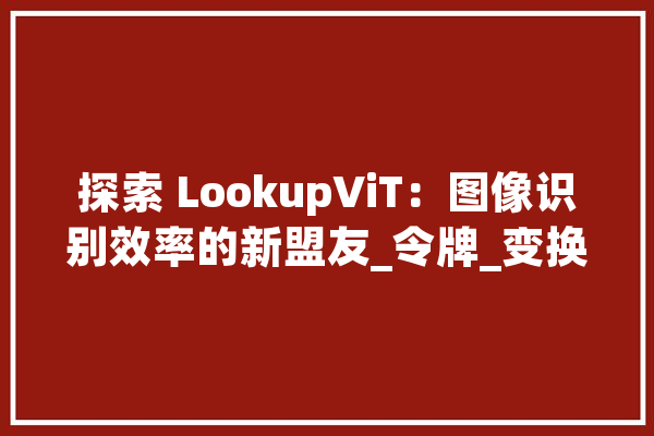 探索 LookupViT：图像识别效率的新盟友_令牌_变换器