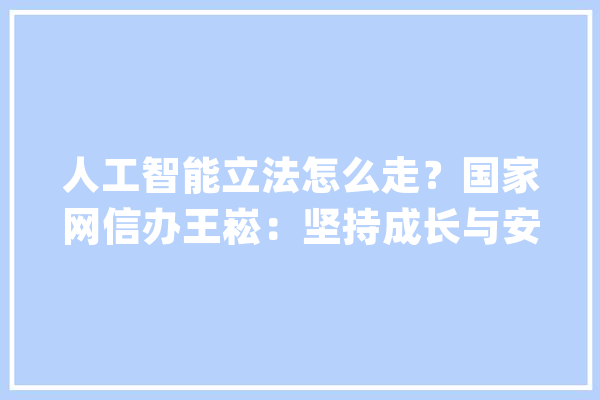 人工智能立法怎么走？国家网信办王崧：坚持成长与安然并重_人工智能_法治