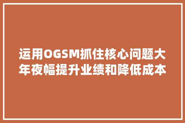 运用OGSM抓住核心问题大年夜幅提升业绩和降低成本_目标_办法