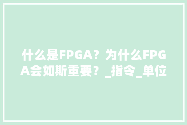 什么是FPGA？为什么FPGA会如斯重要？_指令_单位