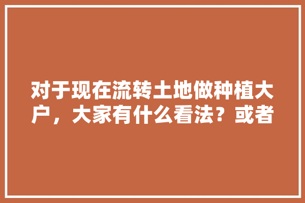 对于现在流转土地做种植大户，大家有什么看法？或者说有没有前景,珲春人工智能培训机构 计算机