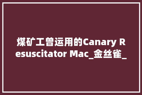 煤矿工曾运用的Canary Resuscitator Mac_金丝雀_矿工 文字写作
