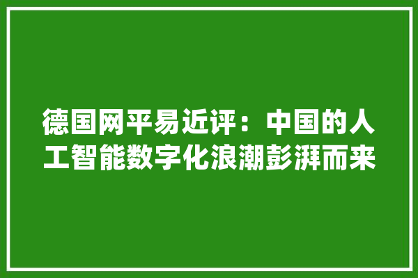 德国网平易近评：中国的人工智能数字化浪潮彭湃而来_年夜众_中国 智能问答