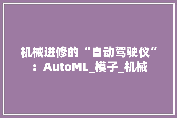 机械进修的“自动驾驶仪”：AutoML_模子_机械 智能助手