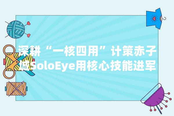 深耕“一核四用”计策赤子城SoloEye用核心技能进军视觉智能领域_智能_小儿