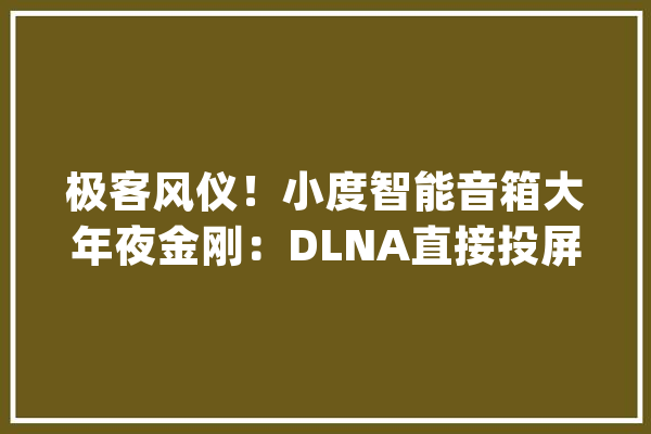 极客风仪！小度智能音箱大年夜金刚：DLNA直接投屏_音箱_智能 科技快讯