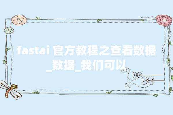 fastai 官方教程之查看数据_数据_我们可以