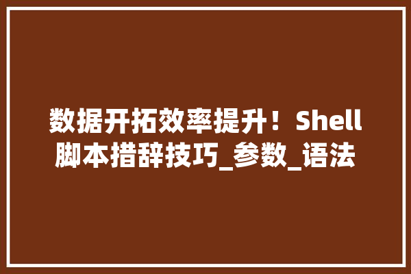 数据开拓效率提升！Shell脚本措辞技巧_参数_语法 计算机