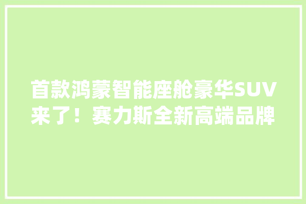 首款鸿蒙智能座舱豪华SUV来了！赛力斯全新高端品牌AITO宣告_华为_聪明 云服务