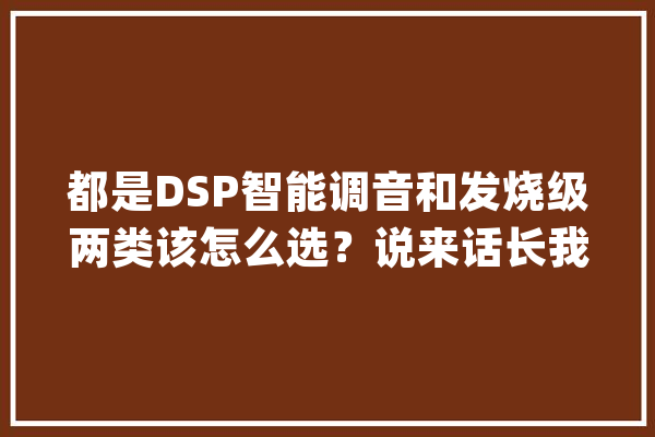 都是DSP智能调音和发烧级两类该怎么选？说来话长我们长话短说_洛克_产物