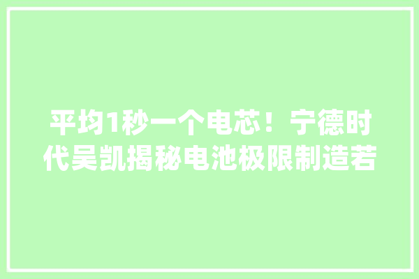 平均1秒一个电芯！宁德时代吴凯揭秘电池极限制造若何与人工智能融合_宁德_电池