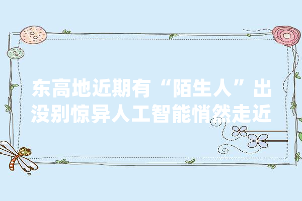 东高地近期有“陌生人”出没别惊异人工智能悄然走近你丨科普丰台_人工智能_北京 云服务