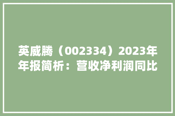 英威腾（002334）2023年年报简析：营收净利润同比双双增长盈利能力上升_原由_费用