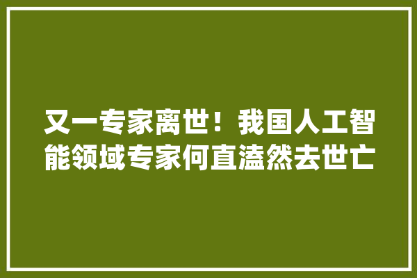 又一专家离世！我国人工智能领域专家何直溘然去世亡需要引起重视_人工智能_范畴 云服务