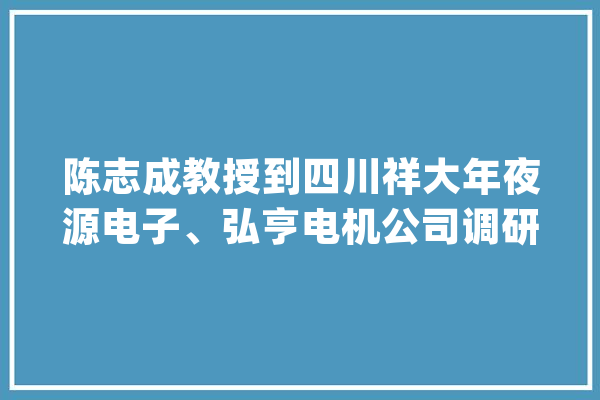 陈志成教授到四川祥大年夜源电子、弘亨电机公司调研指导_企业_科协 计算机