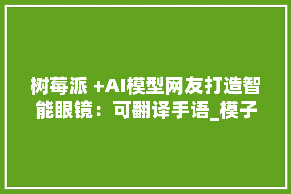 树莓派 +AI模型网友打造智能眼镜：可翻译手语_模子_手势