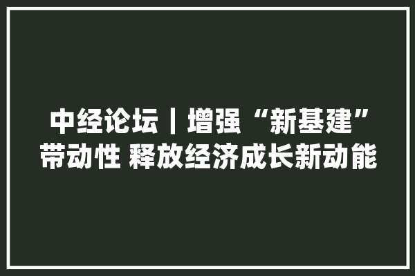 中经论坛｜增强“新基建”带动性 释放经济成长新动能_基建_家当