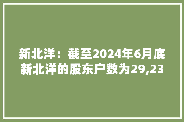 新北洋：截至2024年6月底新北洋的股东户数为29,234户_北洋_机械人 智能问答