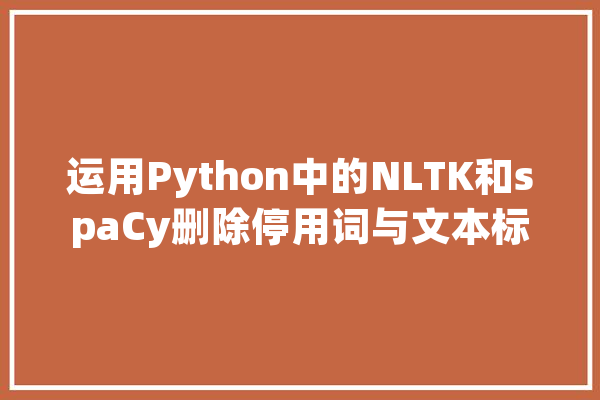 运用Python中的NLTK和spaCy删除停用词与文本标准化_年夜众_词形