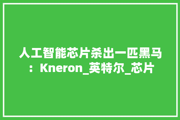 人工智能芯片杀出一匹黑马：Kneron_英特尔_芯片