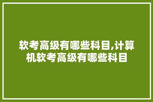 软考高级有哪些科目,计算机软考高级有哪些科目