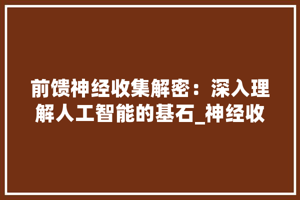 前馈神经收集解密：深入理解人工智能的基石_神经收集_模子 计算机