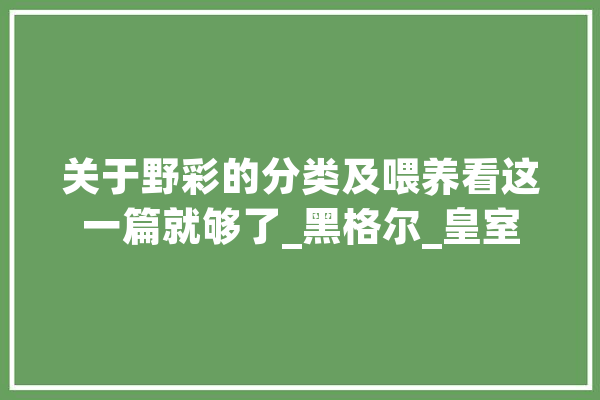 关于野彩的分类及喂养看这一篇就够了_黑格尔_皇室 科技快讯