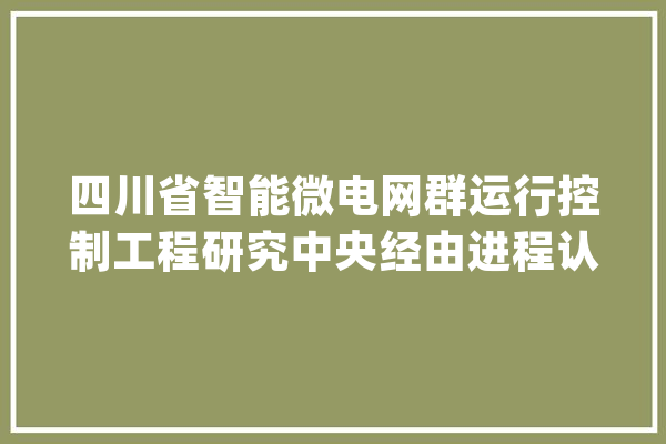 四川省智能微电网群运行控制工程研究中央经由进程认定_中心_技巧