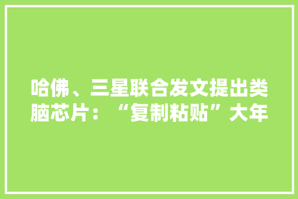 哈佛、三星联合发文提出类脑芯片：“复制粘贴”大年夜脑连接图谱_神经元_神经收集 文字写作